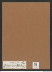 Aulacodiscus kilkellyanus var. sparsus (Grev.) Rattr. (de-Toni-Nr.: Genus 182, Species 4500) Zeichnungen Sammlung Grunow Mappe 04419 (Herbarium_W_Grunow_drawings_Folder_04419)